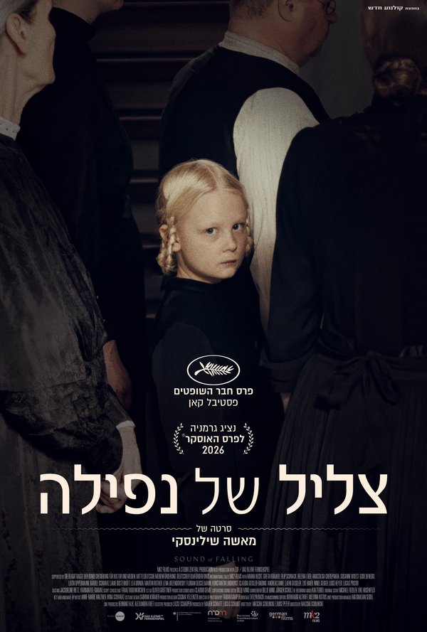 צליל של נפילה poster