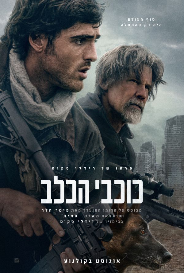 כוכבי כלב