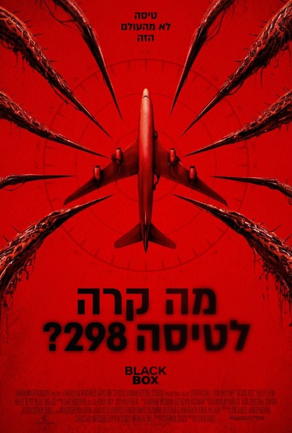 מה קרה לטיסה 298?