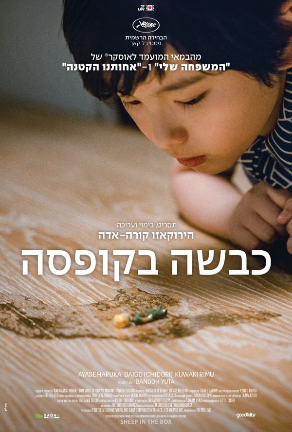 טרום בכורה - כבשה בקופסה